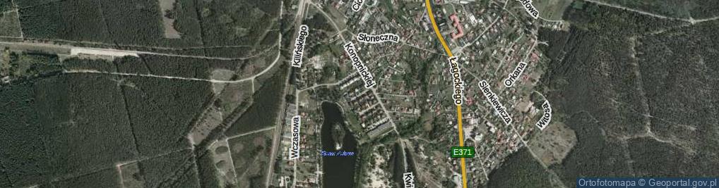 Zdjęcie satelitarne Willowa ul.